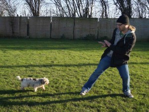 Hier sieht man einen Hund und einen ängstlichen Menschen